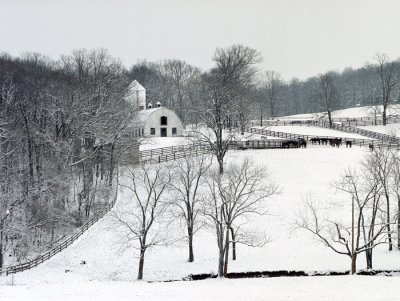 Landmark Road Barn