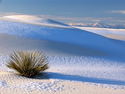White Sands National Monument January 2007