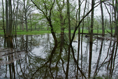 loudounswamp.jpg