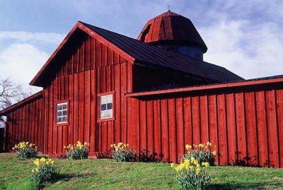 redbarnwhiting.jpg