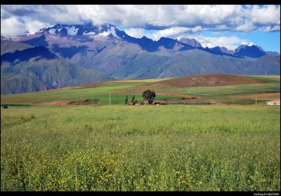 Peru