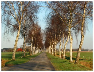 g3/70/69970/3/112521763.zAGeyvDl.jpg