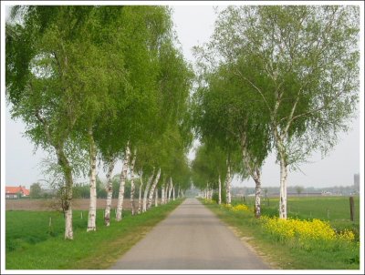 g3/70/69970/3/25871703.ZgaGwacr.jpg