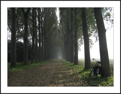 g3/70/69970/3/54665880.07102005vryG5a0008_BREDAflodderdreef_RotHel2_RAND.jpg