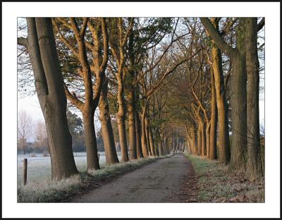 g3/70/69970/3/54679468.19112005zatG5a0017_BAVELwoestenbergseweg_Origineel_RANDusm.jpg