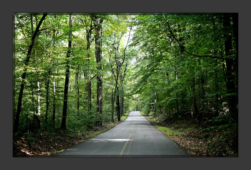 Meeman-Shelby Forest State Park