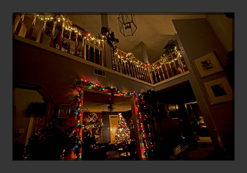 Christmas Lights
