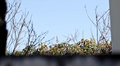 Over the Wall