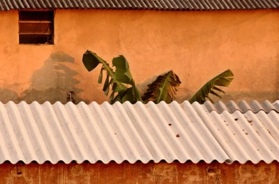 Tin Roofs