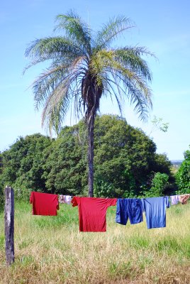 Coconut Laundry