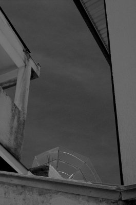 Neighbours' Dish