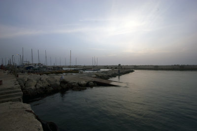 IMG_8625.jpg
