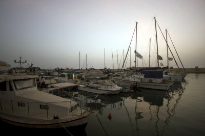 IMG_8633.jpg