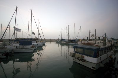 IMG_8641.jpg