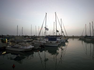 IMG_8642.jpg