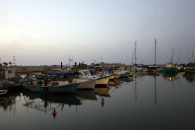 IMG_8648.jpg