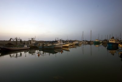 IMG_8651.jpg
