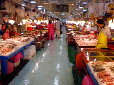 Busan Jagalchi Fish Market - South Korea