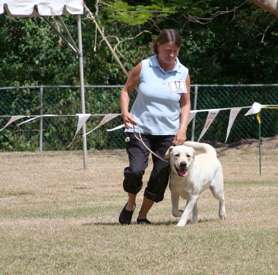 g3/70/738870/3/110593225.ViiZc3Lb.jpg