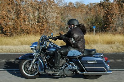 DSC_2331e.jpg
