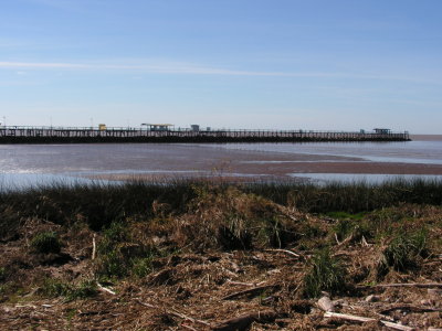 Pict0055.jpg