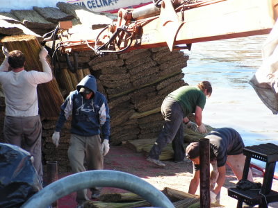 Pict0030.jpg