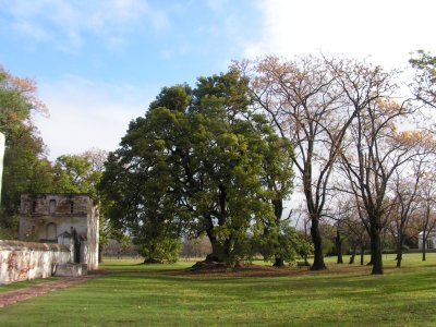 Pict0063.jpg