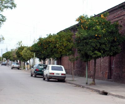 Pict0077.jpg