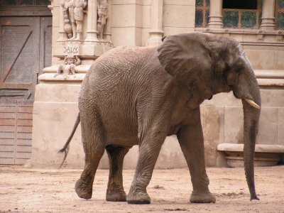 Pict0137.jpg