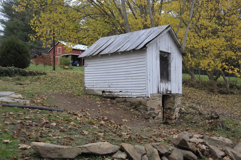 Old Shed