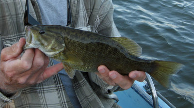 g3/70/778070/3/124440647.KDM3sqXp.jpg
