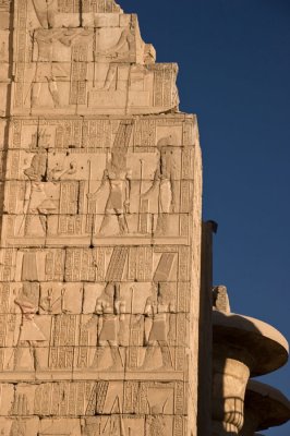 DSC_4248.jpg