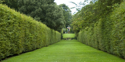 DSC_2692.jpg