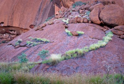 _DSC0221.jpg
