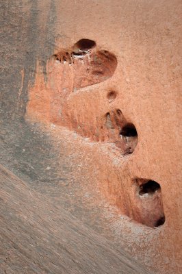 _DSC0232.jpg