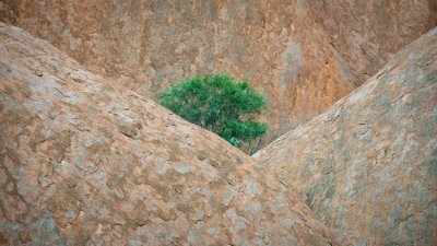 _DSC0233.jpg