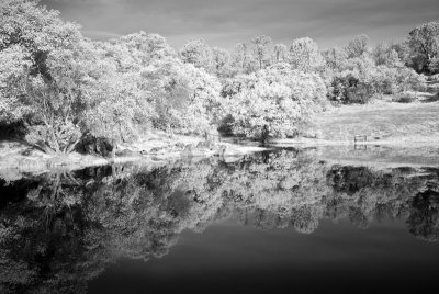 Infrared Pond Wide Angle
