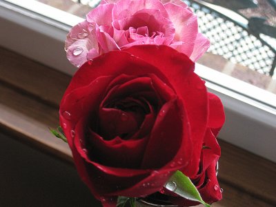 JennasFlowers2.jpg