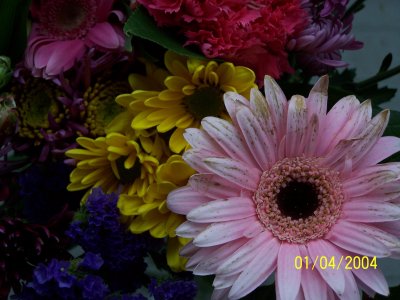 flowerssp2010