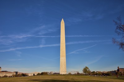IMG_0301.jpg