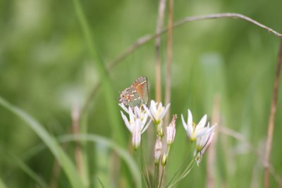 g3/70/809070/3/122769287.v8XtdvKg.jpg