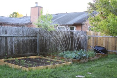 Watering the garden