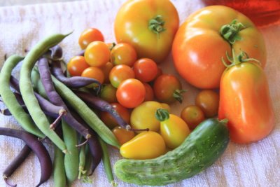 Harvest on June 1