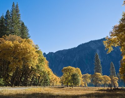 Autumn Colors