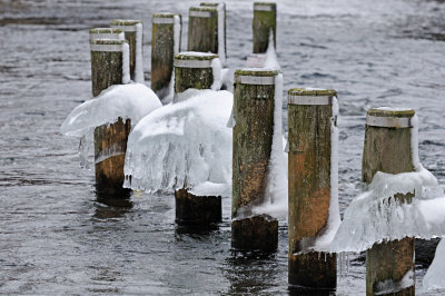Ice bells, River Gudenaaen 01