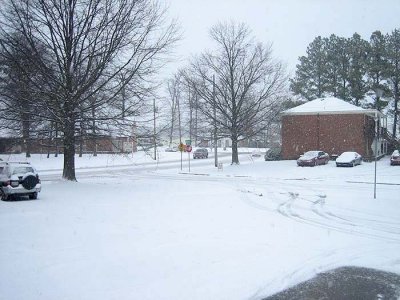 Snow January 2010