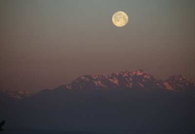 g3/70/875270/3/111497532.F5IzBhYM.jpg