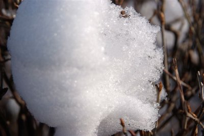 DSCF7586.jpg