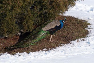 DSCF7598.jpg