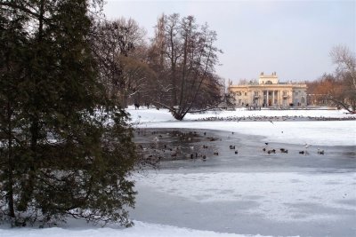 DSCF7648.jpg